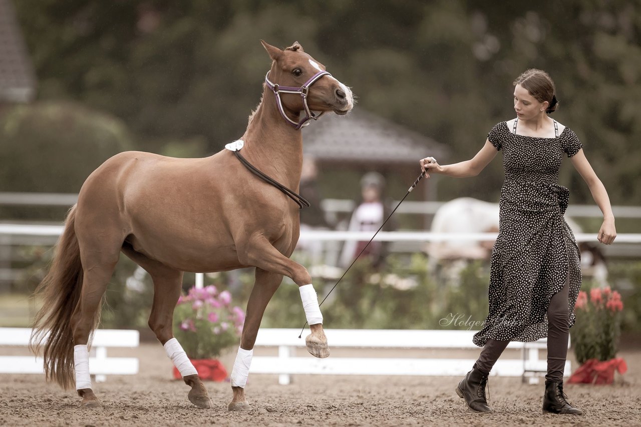 Bild 150 - Pony Akademie Turnier
